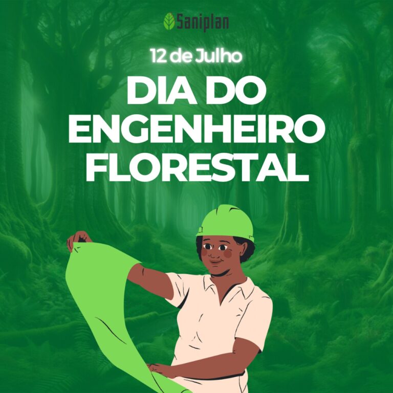 Dia Do Engenheiro Florestal Celebrando Os Protetores Do Meio Ambiente